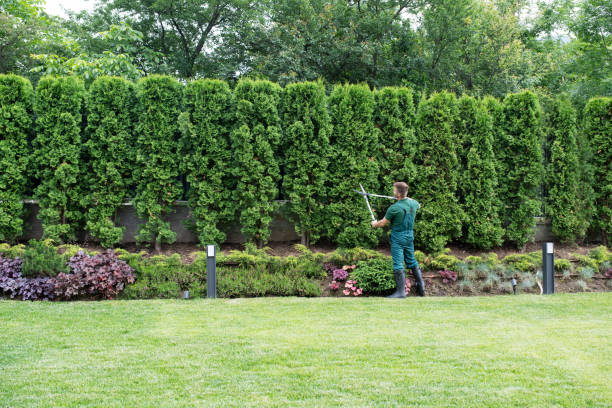 Best Sod Installation  in Polk City, FL