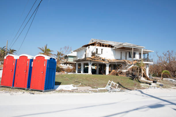 How Our Tree Care Process Works  in  Polk City, FL